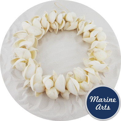- White Cockle - Shell  Wreath